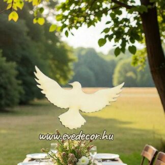 Repülő galamb (Esküvő 0015)