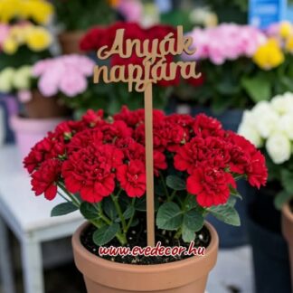 Anyák napjára beszúrós (Anyák 0067)