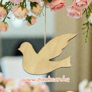 Posta galamb (Esküvő 0048)